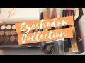 EYESHADOW PALETTE COLLECTION 2020! | I HAVE SO MANY EYESHADOWS!