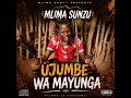 MLIMA SUNZU UJUMBE WA MAYUNGA Official Audio 2026 