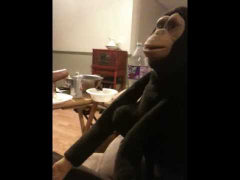 Charlie's Vietnamese monkey