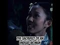 Monkey - Woman makes extraordinary sacrifice #monkey #retrotv #series #tv #viralvideo #movie