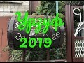 Урзуф. Цены в 2019 году