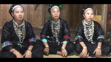 Vùi Nam Vlog | Hát nùng | Lấn chín máy các nghệ nhân xã Cốc Rễ Tạ Nhìu Xín Mần