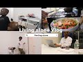 Living Alone Vlog| feeling alone| cleaning | cooking | studying.