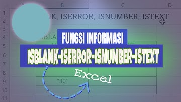 Fungsi Informasi Excel: ISBLANK, ISERROR, ISNUMBER, ISTEXT