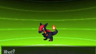 Raptorch Evolves Into Archilles Pokemon Uranium Gameplay