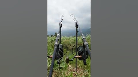 ⚠️💥Double Carp Run