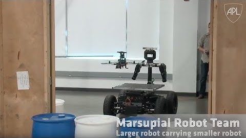 Intelligent Systems: Autonomous Marsupial Robot Teams