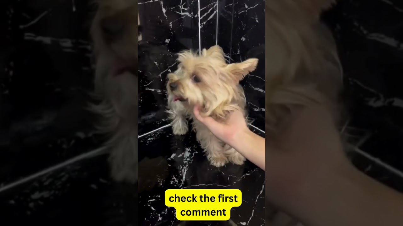 Vet's Best Flea and Tick Home Spray  