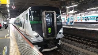 [電笛あり]E257系 OM-51編成 特急鎌倉号吉川美南行の送り込み回送が電笛を鳴らしながら大船駅7番線に入線するシーン