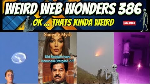 weird web wonders 386