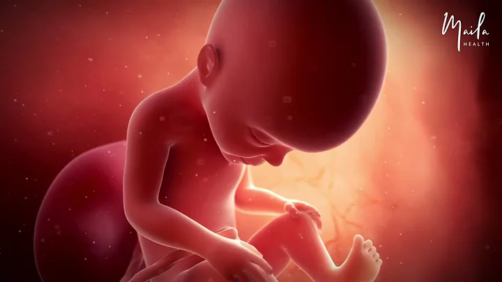 27 Weeks of Pregnancy | Third Trimester | Fetal Stage