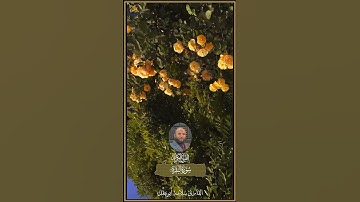 كم هاشتاج قران بصوت القارئ سلامه بن عقل #راحة #ريلزات #تيك_توك #فولو #فولواكسبلور #ريلز #القران