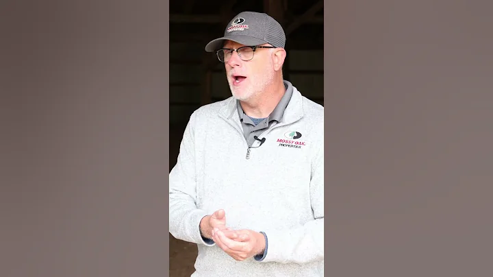 Taking Fetus Measurements #shorts