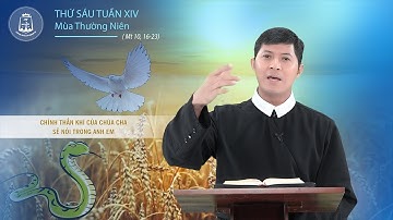 Lời Chúa - Thứ Sáu tuần XIV mùa Thường Niên 08/07/2022