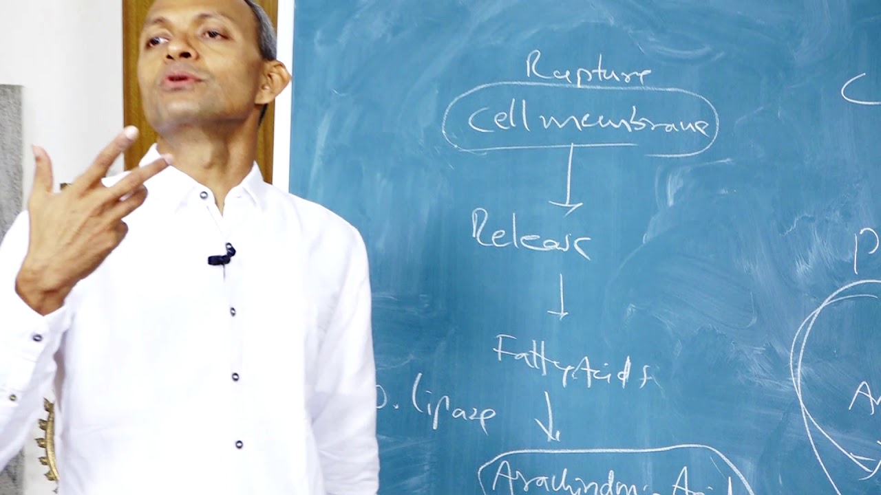 Traditional Yoga Episode #129 on September 10, 2019 video editing software free
