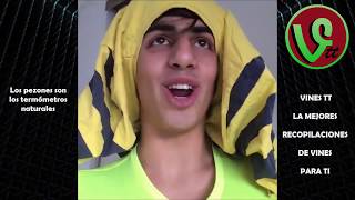 Download Los Mejores Vines De Daniel El Travieso 3 2016| |vines Tt | Recopilacion Video MP3 Los Mejores Vines De Daniel El Travieso 3 2016| |vines Tt | Recopilacion