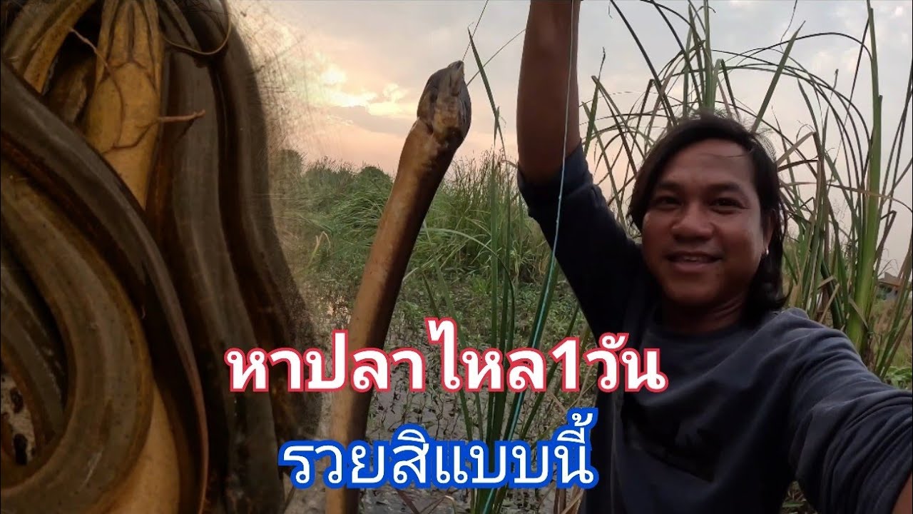 ทั้งร้อนทั้งเหนื่อยแต่คุ้มกับการหาปลาไหลในป่าที่รกทึบ / ต้อม คนทำมาหากิน