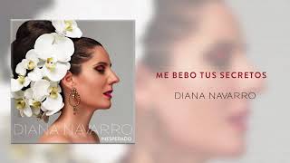 Diana Navarro - Me bebo tus secretos (Audio Oficial)