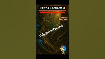 Only Genius Can Find the Hidden Cat in 15 Seconds 😺