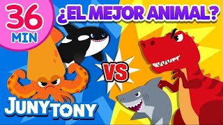¿El Mejor Animal? ¡Vamos a Ver Quién Ganará! | Animales | VS Serie | JunyTony en español