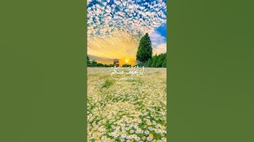 سورة النساء #قران_كريم #المصحف #الرحمن #راحة_نفسية