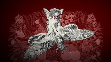 The History of Fairies