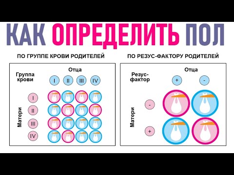 КАК ОПРЕДЕЛИТЬ ПОЛ РЕБЕНКА ДО УЗИ | 10 необычных примет пола будущего малыша