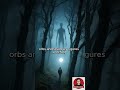 Hoia Baciu: The Haunted Forest of Romania 🌲👻 #shorts