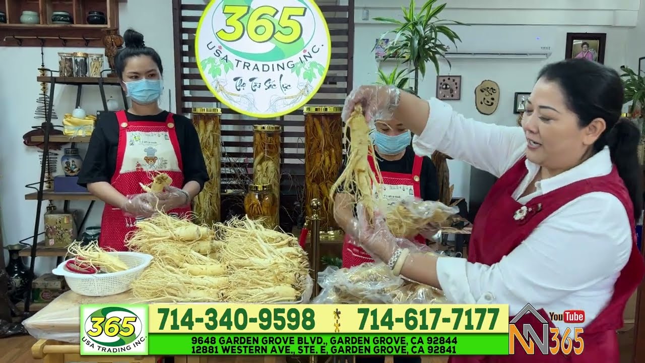 Khám Phá Tác Dụng Tuyệt Vời Của Sâm Tươi Ngâm Rượu - Giải Pháp Cho Sức Khỏe