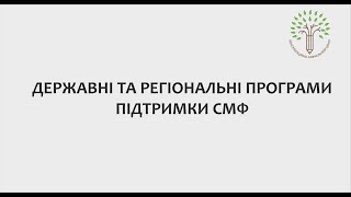 Державні та регіональні програми підтримки СМФ