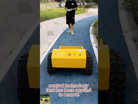 Affordable customization wireless-controlled