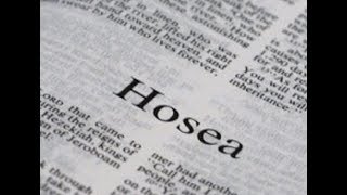 Hosea 14 Daily Bible Reading with Paul Nison