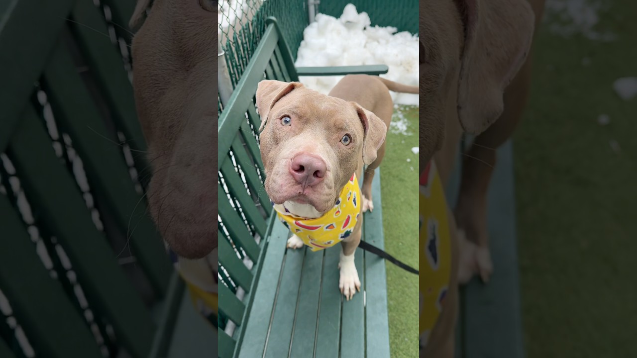 Kylo Ren 247297, handsome boy💛