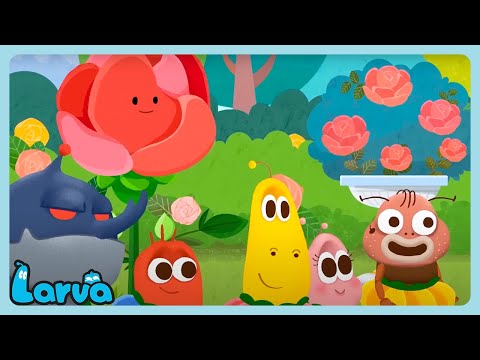<strong>로지</strong> 로즈 | WildBrain 한국어 | 어린이를 위한 만화 Larva Kids