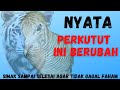 Asli,perkutut berubah