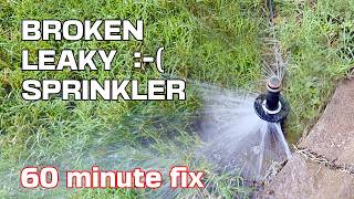 Fasest Way to Fix a Broken Sprinkler - Cheap 60 Minute Fix