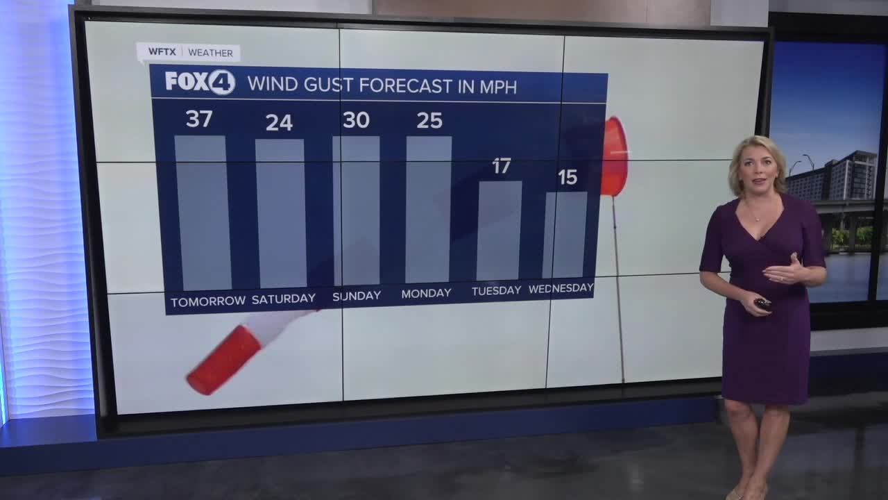 Windy and Wet Weekend Ahead - YouTube
