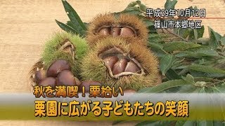 秋を満喫！栗拾い　栗園に広がる子どもたちの笑顔