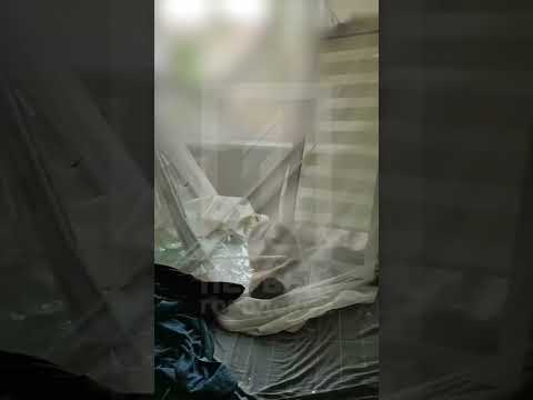 У Кривому Розі пролунали вибухи