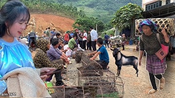 ĐỘC ĐÁO VÀ HOANG SƠ NHẤT MIỀN NÚI - CHỢ PHIÊN CỐC LY ĐẶC BIỆT MỚI NHẤT TÂY BẮC