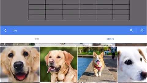INSERT TABLE GOOGLE DOCS IPAD