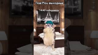 Пов:Мои выходные