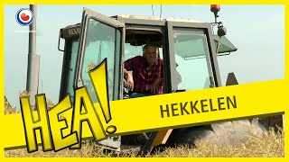 HEA! 50 jaar hekkelen