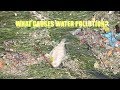 Water Pollution Quiz