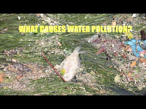 پانی کی آلودگی کا کیا سبب بنتا ہے؟