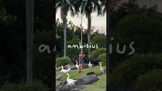 Download Lagu petantang petenteng depan jagoan kampung🦢🦢 🫣 #Ambisius balik lagi weh~ #chintyagabriella #shorts MP3