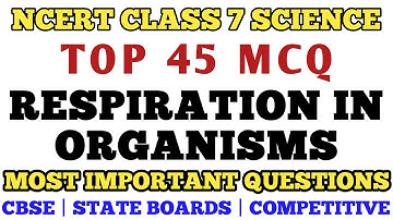 Best MCQ Class 7 Respiration in Organisms Full Chapter | Class 7 MCQ Science // Class 7 Science