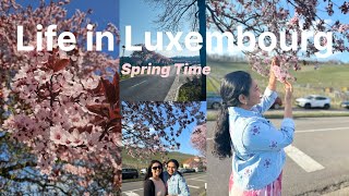 Luxembourg Vlog Life In Luxembourg Luxembourg Malayalam Vlog Spring Time Restaurants