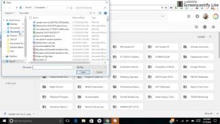 Sharing Your Infographic