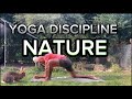 14 Min Full Body Yoga Flow | Day 15 - 30 Day Discipline Yoga Challenge